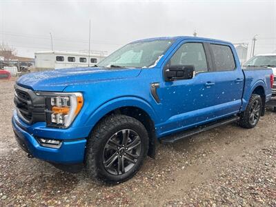 2021 Ford F-150 XLT   - Photo 1 - Magrath, AL 21804