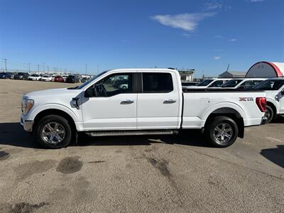 2023 Ford F-150 XLT   - Photo 2 - Magrath, AL 21804