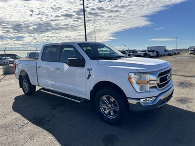 2023 Ford F-150 XLT   - Photo 6 - Magrath, AL 21804