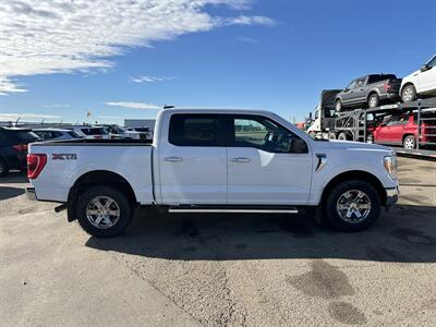 2023 Ford F-150 XLT   - Photo 7 - Magrath, AL 21804