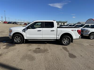 2023 Ford F-150 XLT   - Photo 6 - Magrath, AL 21804