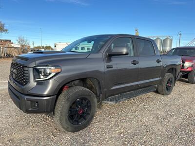 2021 Toyota Tundra TRD Pro   - Photo 1 - Magrath, AL 21804