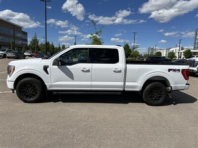 2023 Ford F-150 XLT   - Photo 6 - Magrath, AL 21804