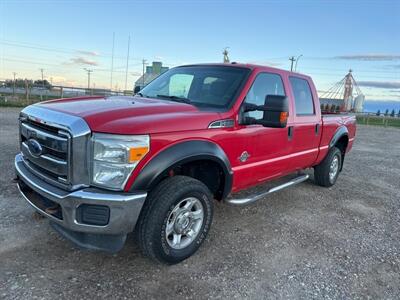 2014 Ford F-350 Super Duty XLT   - Photo 1 - Magrath, AL 21804