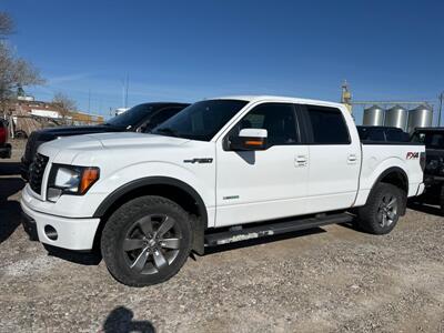 2012 Ford F-150 FX4   - Photo 1 - Magrath, AL 21804