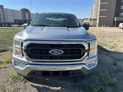 2021 Ford F-150 XLT   - Photo 3 - Magrath, AL 21804