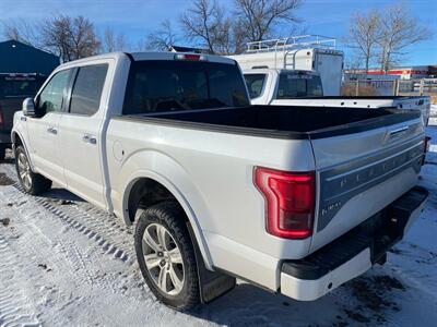 2015 Ford F-150 Platinum   - Photo 3 - Magrath, AL 21804