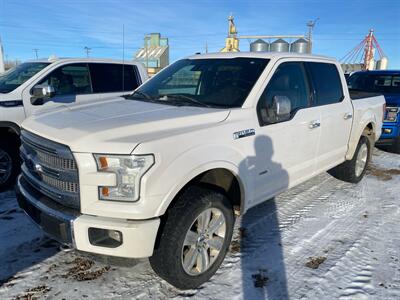 2015 Ford F-150 Platinum   - Photo 1 - Magrath, AL 21804