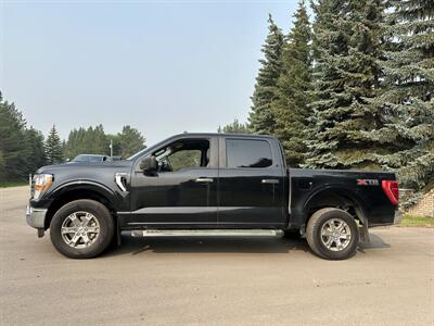 2023 Ford F-150 XLT   - Photo 2 - Magrath, AL 21804