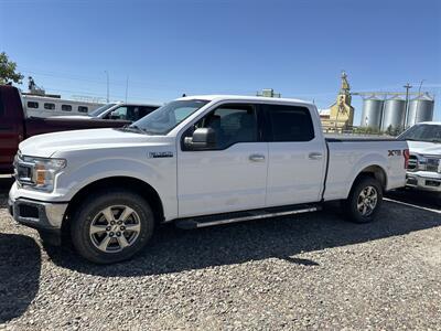 2020 Ford F-150 XLT   - Photo 1 - Magrath, AL 21804