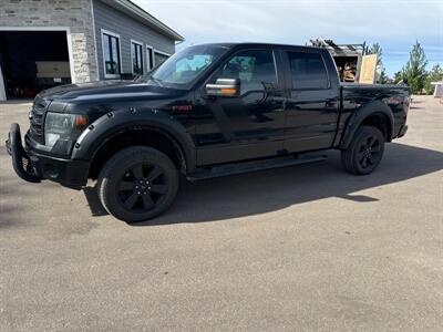 2014 Ford F-150 FX4   - Photo 1 - Magrath, AL 21804