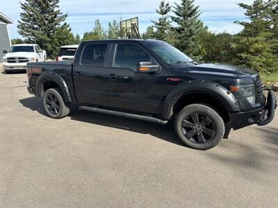 2014 Ford F-150 FX4   - Photo 5 - Magrath, AL 21804