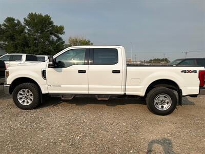 2019 Ford F-250 Super Duty XLT   - Photo 4 - Magrath, AL 21804