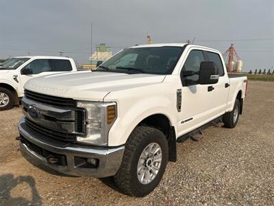 2019 Ford F-250 Super Duty XLT   - Photo 1 - Magrath, AL 21804