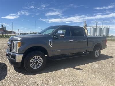 2017 Ford F-250 Super Duty XLT   - Photo 1 - Magrath, AL 21804