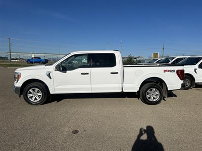 2021 Ford F-150 XLT   - Photo 1 - Magrath, AL 21804