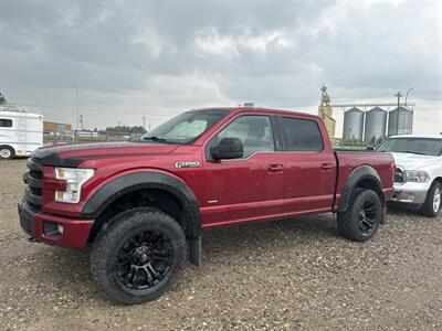 2015 Ford F-150 Lariat   - Photo 1 - Magrath, AL 21804