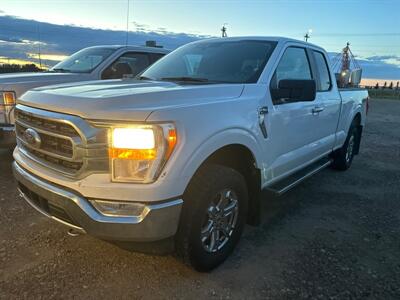 2021 Ford F-150 XLT   - Photo 1 - Magrath, AL 21804