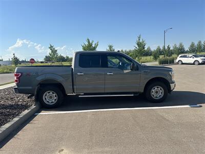 2019 Ford F-150 XLT   - Photo 7 - Magrath, AL 21804