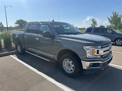 2019 Ford F-150 XLT   - Photo 6 - Magrath, AL 21804