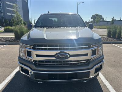 2019 Ford F-150 XLT   - Photo 4 - Magrath, AL 21804