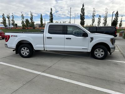 2023 Ford F-150 XLT   - Photo 6 - Magrath, AL 21804