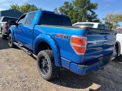 2014 Ford F-150 FX4   - Photo 4 - Magrath, AL 21804