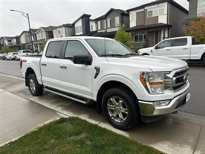 2023 Ford F-150 XLT   - Photo 5 - Magrath, AL 21804