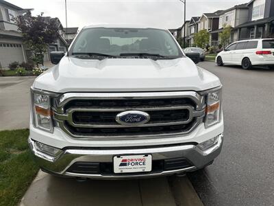 2023 Ford F-150 XLT   - Photo 4 - Magrath, AL 21804