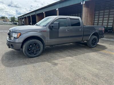 2013 Ford F-150 FX4   - Photo 1 - Magrath, AL 21804