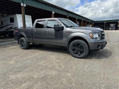 2013 Ford F-150 FX4   - Photo 4 - Magrath, AL 21804