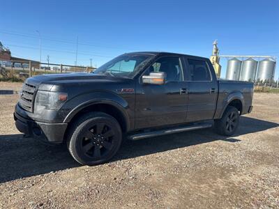 2014 Ford F-150 FX4   - Photo 1 - Magrath, AL 21804