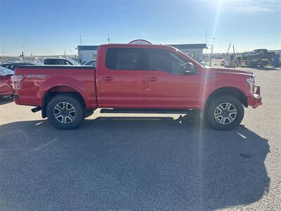 2017 Ford F-150 XLT   - Photo 6 - Magrath, AL 21804