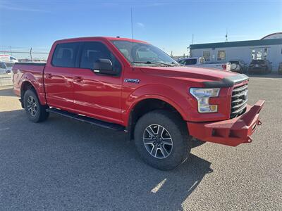 2017 Ford F-150 XLT   - Photo 8 - Magrath, AL 21804