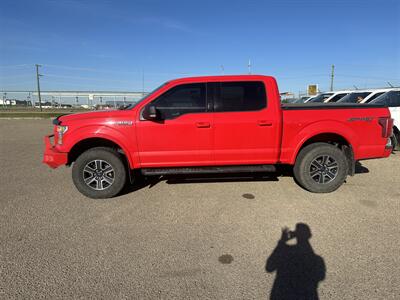 2017 Ford F-150 XLT   - Photo 2 - Magrath, AL 21804