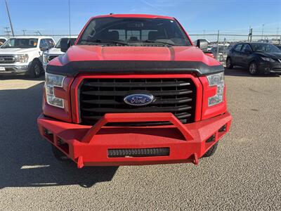 2017 Ford F-150 XLT   - Photo 5 - Magrath, AL 21804