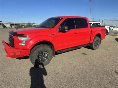 2017 Ford F-150 XLT   - Photo 1 - Magrath, AL 21804