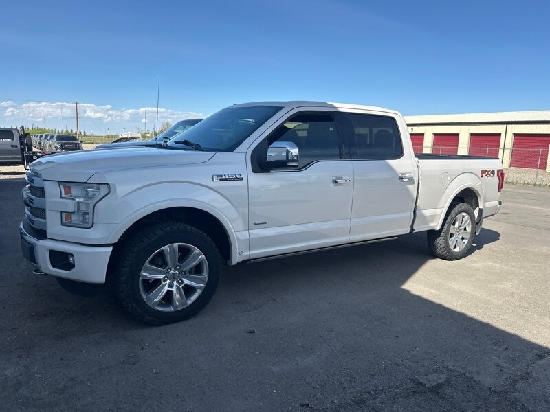 2015 Ford F-150 Platinum - Photo 1 - Magrath, AL 21804