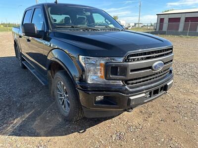 2020 Ford F-150 XLT   - Photo 6 - Magrath, AL 21804