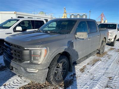 2021 Ford F-150 Lariat   - Photo 1 - Magrath, AL 21804