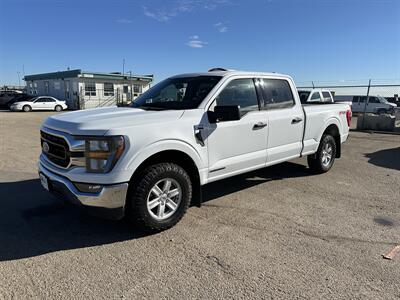 2023 Ford F-150 XLT   - Photo 2 - Magrath, AL 21804