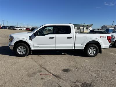 2023 Ford F-150 XLT   - Photo 1 - Magrath, AL 21804