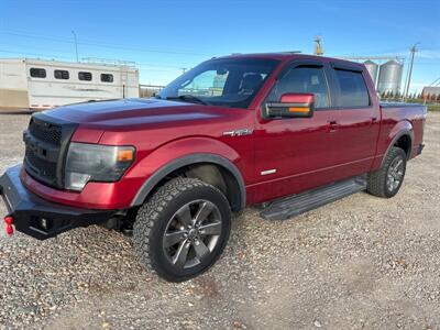 2013 Ford F-150 FX4   - Photo 1 - Magrath, AL 21804