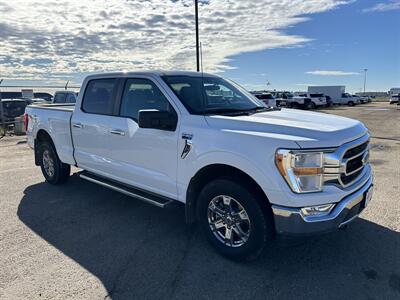 2023 Ford F-150 XLT   - Photo 6 - Magrath, AL 21804