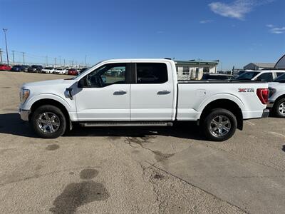 2023 Ford F-150 XLT   - Photo 10 - Magrath, AL 21804