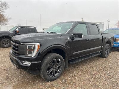 2021 Ford F-150 Lariat   - Photo 1 - Magrath, AL 21804