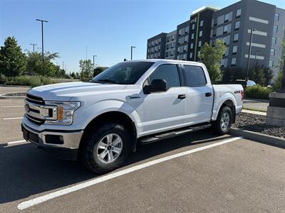 2020 Ford F-150 XLT   - Photo 1 - Magrath, AL 21804