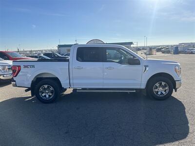 2023 Ford F-150 XLT   - Photo 6 - Magrath, AL 21804