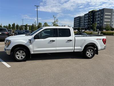 2023 Ford F-150 XLT   - Photo 2 - Magrath, AL 21804