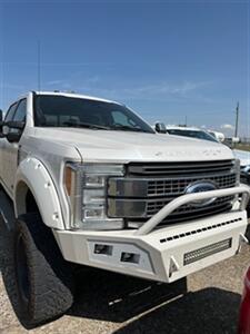 2017 Ford F-350 Super Duty Platinum   - Photo 10 - Magrath, AL 21804